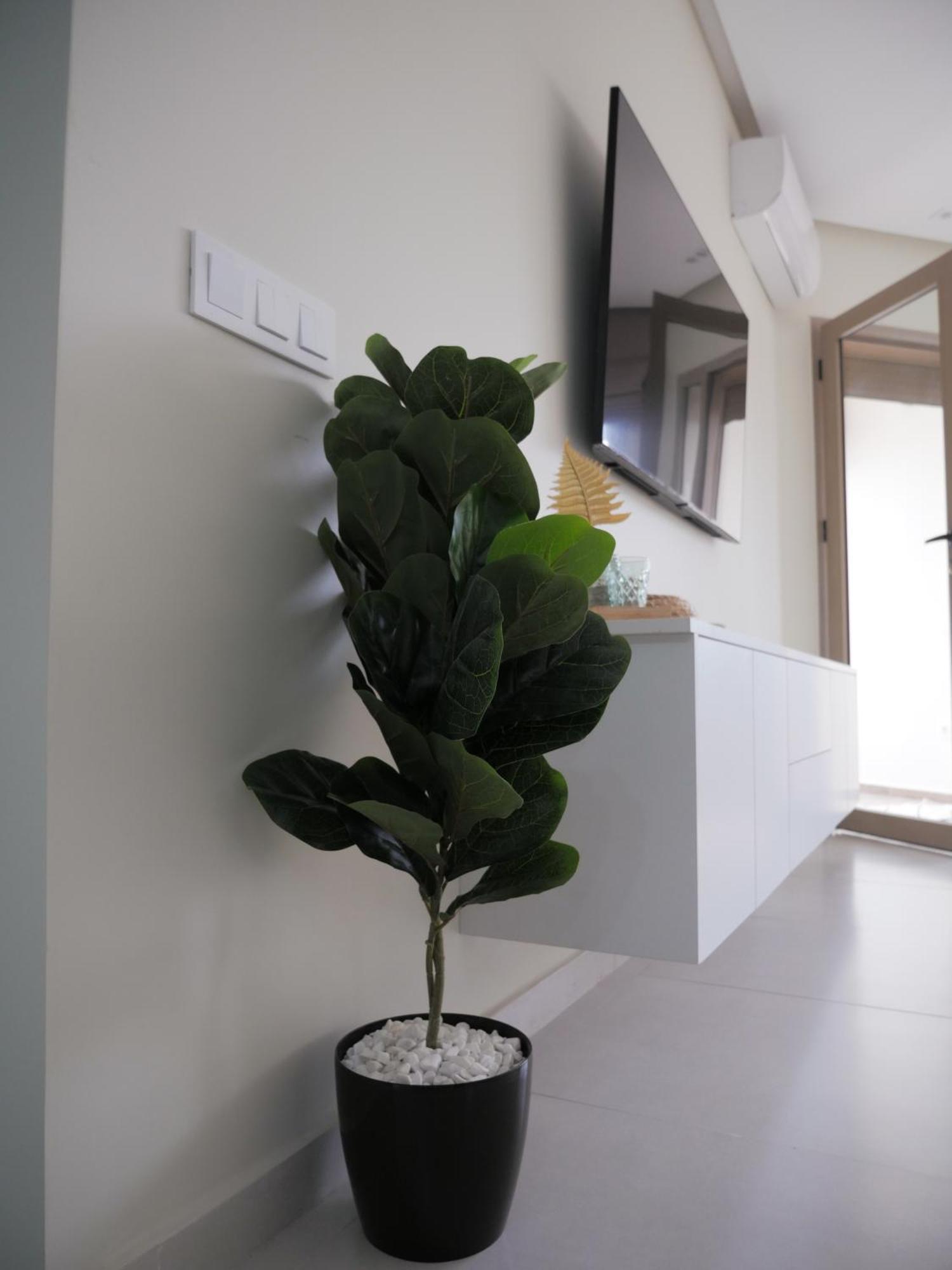 Appartement Vue Ocean อกาดีร์ ภายนอก รูปภาพ